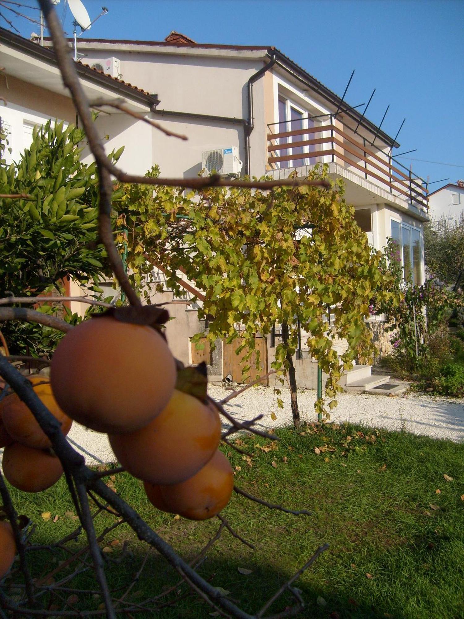 Apartments Bernic Медулин Экстерьер фото